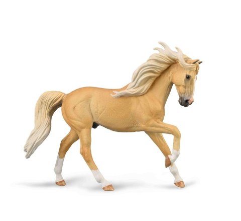 Ogier andaluzyjski maści Palomino Ogier andaluzyjski maści Palomino