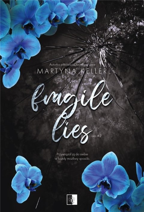 Fragile Lies Fragile Lies