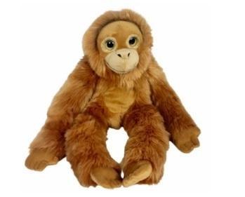 Orangutan big eyes 50cm Orangutan big eyes 50cm