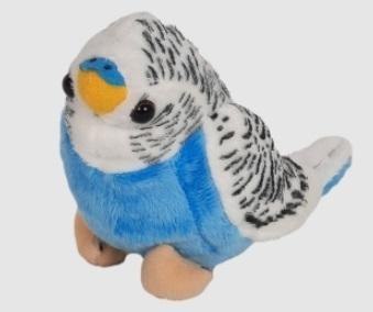 Papużka niebieska 14cm Papużka niebieska 14cm