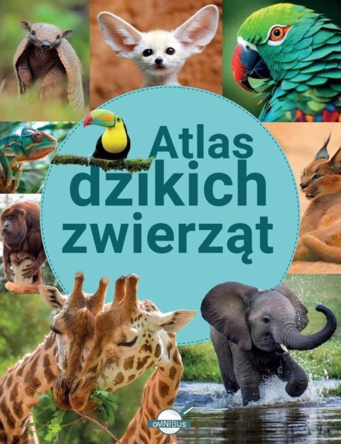 Atlas dzikich zwierząt Atlas dzikich zwierząt