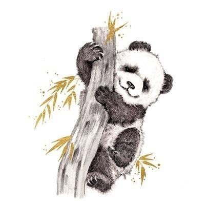 Karnet złocony kwadrat CL3816_BL Panda Karnet złocony kwadrat CL3816_BL Panda