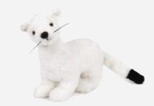Łasica biała 26cm Łasica biała 26cm