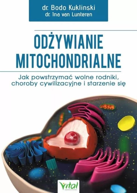 Odżywianie mitochondrialne w.2 Odżywianie mitochondrialne w.2