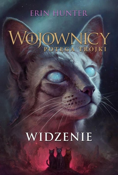 Wojownicy T.13 Widzenie Wojownicy T.13 Widzenie