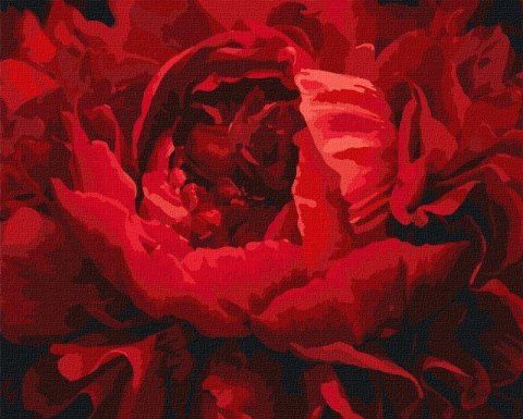Malowanie po numerach - Wyśmienity kwiat 40x50cm Malowanie po numerach - Wyśmienity kwiat 40x50cm