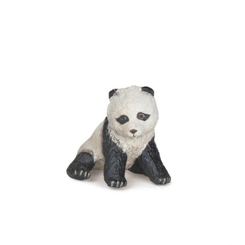 Panda młoda siedząca Panda młoda siedząca