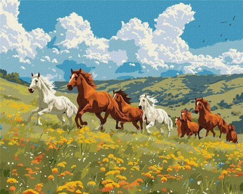 Malowanie po numerach - Siła i wdzięk 40x50cm Malowanie po numerach - Siła i wdzięk 40x50cm