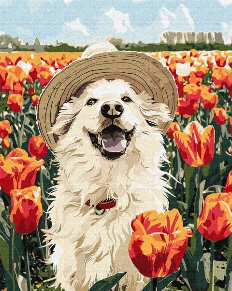 Malowanie po numerach -Szczęśliwy labrador 40x50cm Malowanie po numerach -Szczęśliwy labrador 40x50cm