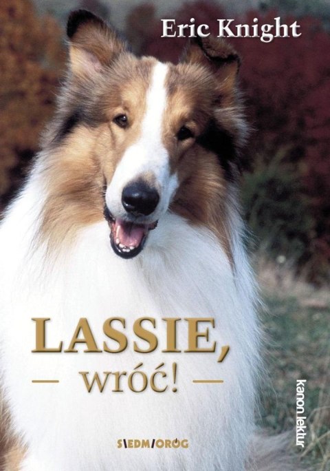 Lassie, wróć! Lassie, wróć!