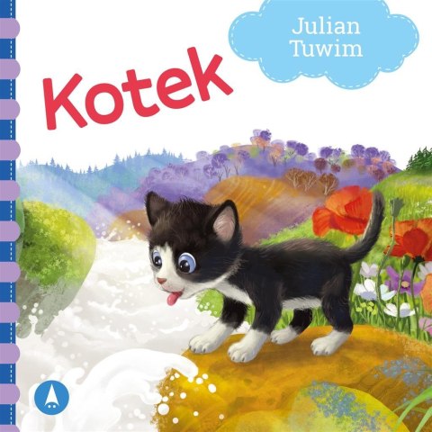 Kotek Kotek