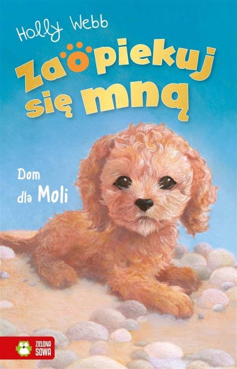 Zaopiekuj się mną. Dom dla Moli Zaopiekuj się mną. Dom dla Moli