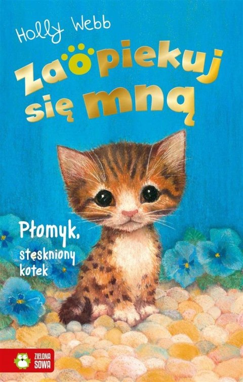 Zaopiekuj się mną. Płomyk, stęskniony kotek Zaopiekuj się mną. Płomyk, stęskniony kotek