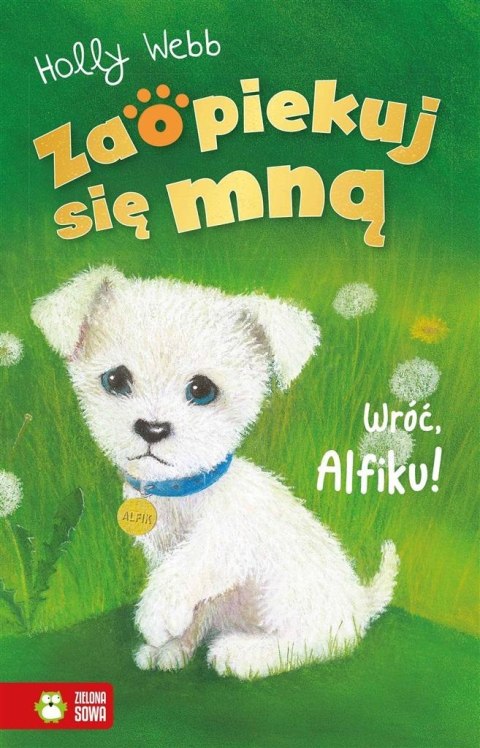 Zaopiekuj się mną. Wróć Alfiku Zaopiekuj się mną. Wróć Alfiku