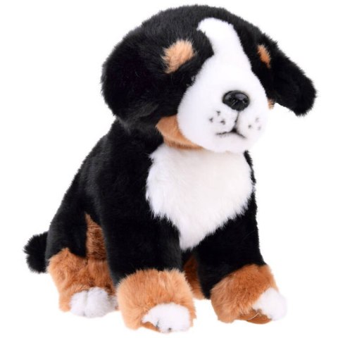 Maskotka Pies berneński siedzący 20 cm 13476 Maskotka Pies berneński siedzący 20 cm 13476
