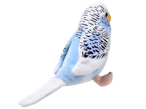 Maskotka niebieska Papuga falista 13cm 13729 Maskotka niebieska Papuga falista 13cm 13729