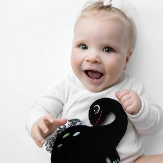 Szmatka sensoryczna Dinozaur kontrastowa szeleszcząca - Mom's Care 0+