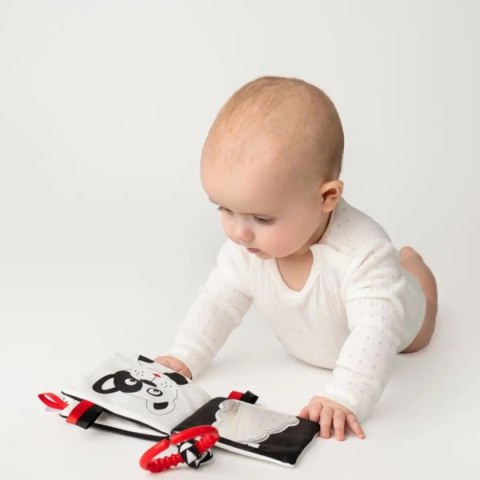 Książeczka sensoryczna Kto to? Co to? - Mom's Care 0+