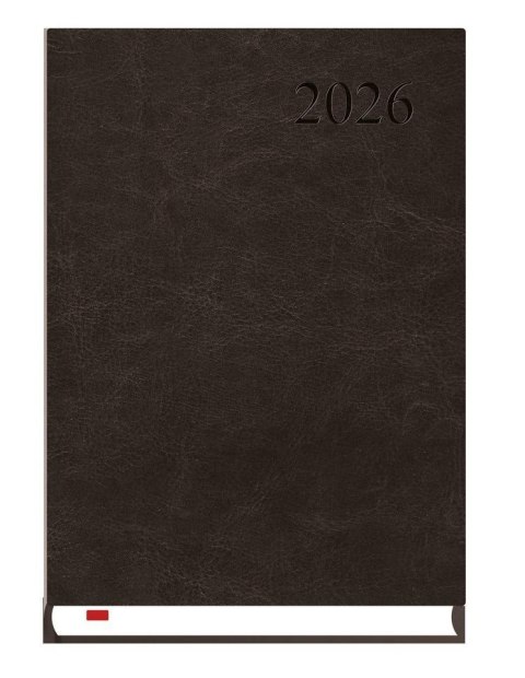 Terminarz 2026 A5 Asystent Alaska czarny