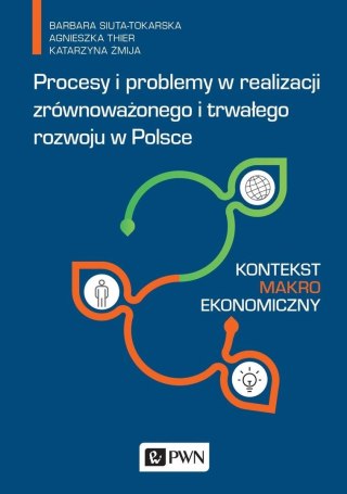 Procesy i problemy w realizacji zrównoważonego...