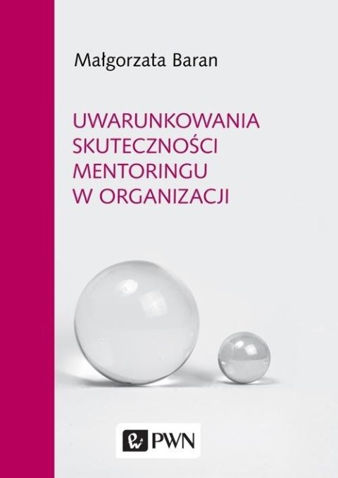 Uwarunkowania skuteczności mentoringu w organizacj