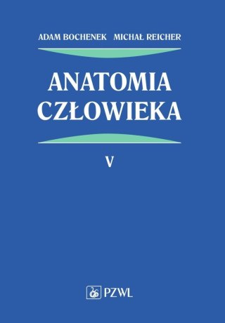 Anatomia człowieka T.5