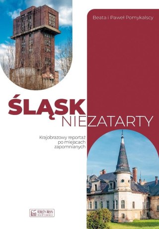 Śląsk niezatarty. Krajobrazowy reportaż po...