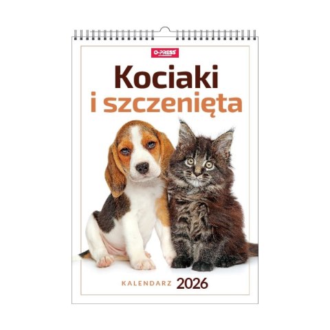 Kalendarz 2026 A3 wieloplanszowy Kociaki i...