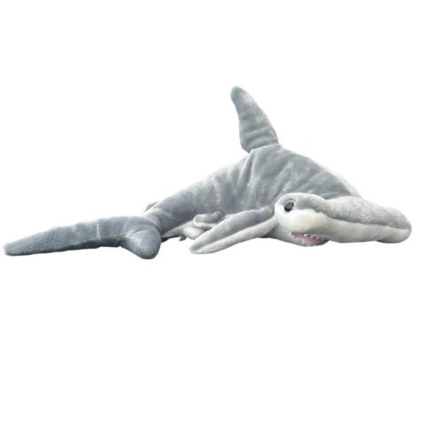 Rekin młot 38cm