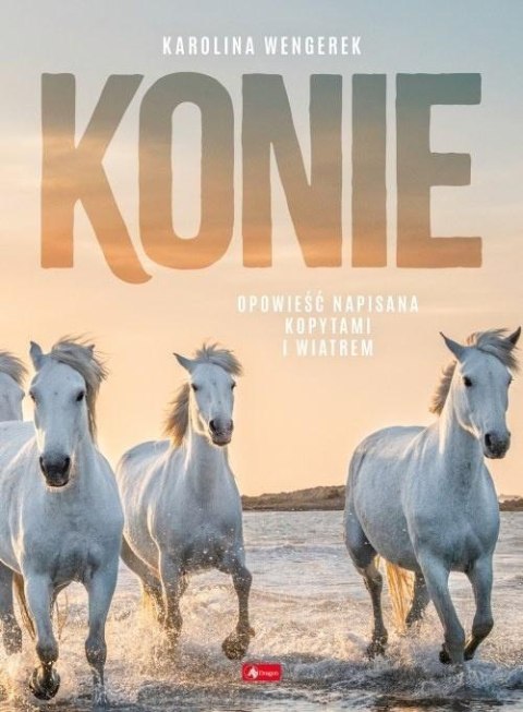 Konie