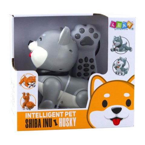 Interaktywny Robot Pies Husky Zdalnie Sterowany RC Głosem Sztuczki Szary