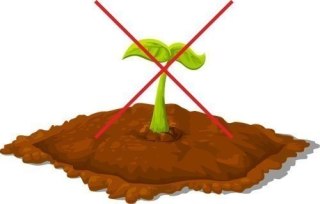 Agrotkanina P-100 czarna UV 4,0x50m