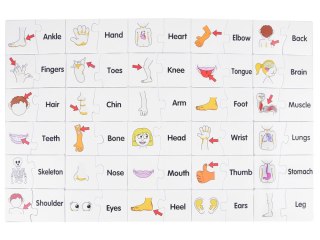 Edukacyjne puzzle j.angielski części ciała ZA3864
