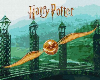 Malowanie po numerach - Harry Potter. Złoty Znicz