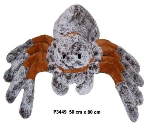 Pająk 50cm