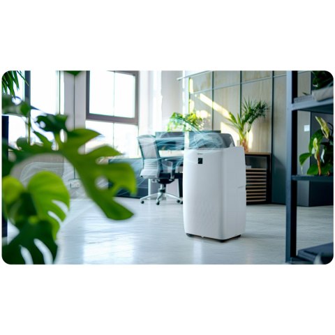 Klimatyzator przenośny z uszczelką 14000 BTU osuszacz grzanie Berdsen BD-581