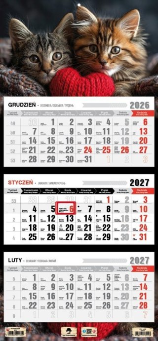Kalendarz 2027 trójdzielny kotki