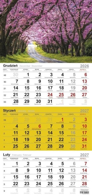 Kalendarz 2027 trójdzielny Drzewa