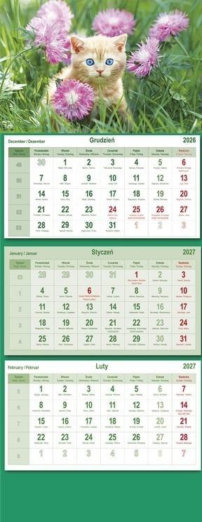 Kalendarz 2027 trójdzielny Koty