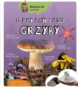 Wojciech Gil o darach lasu Grzyby