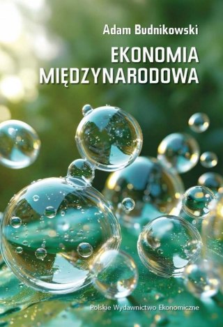 Ekonomia międzynarodowa w.6