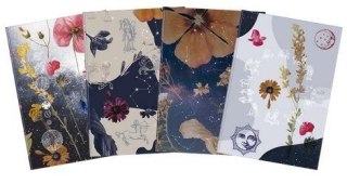 Kalendarz 2027 dzienny A5 magic mix OXFORD