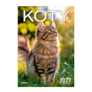 Kalendarz 2027 A4 ścienny Koty